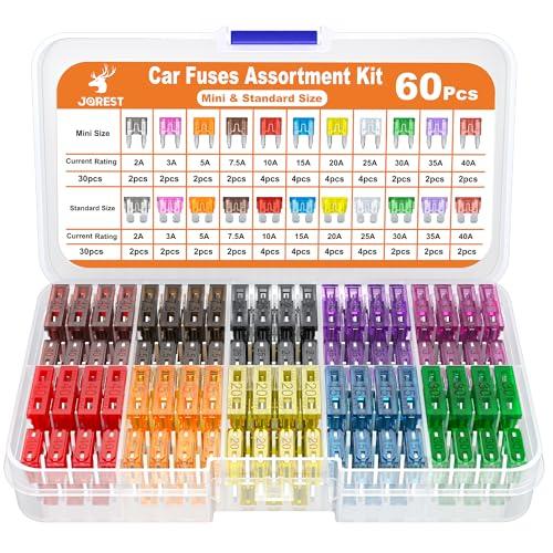 JOREST Kit 60Pcs Fusibili Assortiti - 11 Tipi per Auto/Camper/Camion/Moto (2A-40A) - 30 Mini + 30 Medio + 1 Estrattore