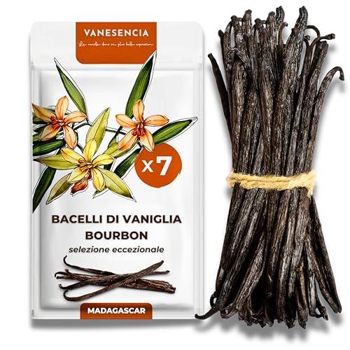 7 Bacche di Vaniglia Bourbon | Vaniglia Bourbon del Madagascar | Bacche affinata 9 mesi | Gusto Intenso e Gourmet | Busta richiudibile | VANESENCIA (13–17 cm)
