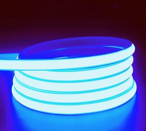 ANSIEN® Strisce LED 220V Neon (Blu,5M),Ogni Taglio da 10 cm,12W/m COB luce a Corda Alta Luminosità,IP65 Impermeabile con Spina per Raddrizzatore e Adesivo,Nastri LED Neon per Casa,Bar,Ristorante