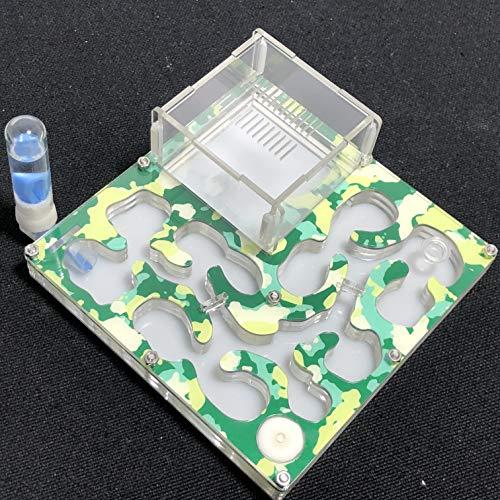 ant grape 140 x 140 mm di spazio mimetico formicaio formicario formicario educativo con idratazione e acqua per formiche LIVE (Camouflage Summer)
