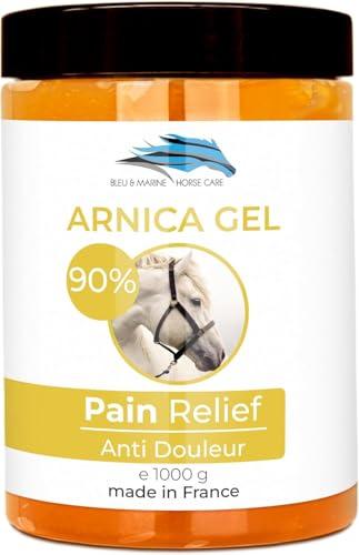 Gel Naturale a base di Arnica Montana - Arnica Gel FORTE & Concentrato 90% di Estratto di Arnica BIO da Agricoltura Biologica. Gel Massaggi Muscolari e Articolari - 1000 g 1 kg