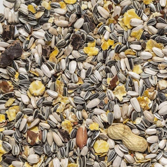 Il Contadino - Antichi Becchimi | MISCUGLIO per PAPPAGALLI Grandi | Formula Ricca di Semi Selezionati Adatta per Tutto L'Anno, No OGM, 100% Vegetale, Assenza di scarti. qualità Superiore (5 kg)