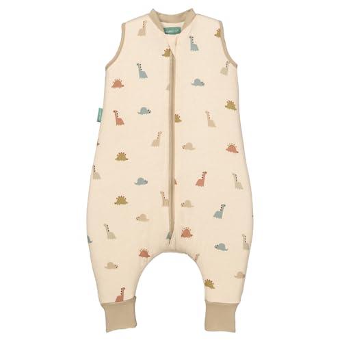 molis&co - Sacco Nanna con Piedini - Sacco Nanna Invernale per Bambini - Sacchi Nanna 2.5 tog con Piedini - 100% Cotone (Oeko-Tex 100) - Dinos (2 Anni)