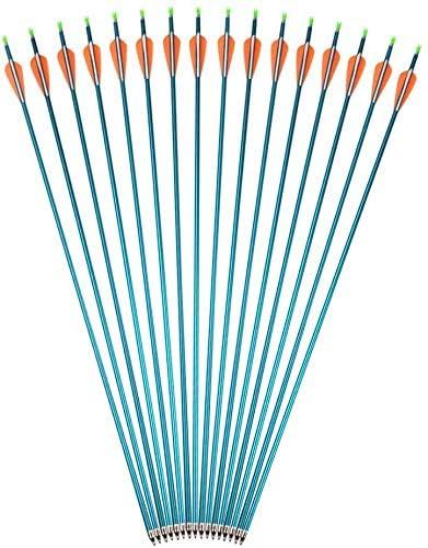 Frecce in Alluminio da 31 pollici Frecce da Caccia con Tiro con l'arco Colonna vertebrale 500 Frecce da Addestramento al Bersaglio con Punta di Freccia a vite per Arco Composto e Ricurvo (blu, 6pcs)