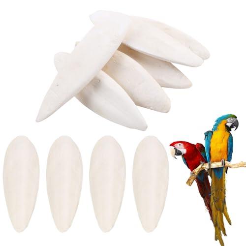JDCMEI 10 Pezzi Osso di Seppia Naturale per Pappagalli, Uccelli e Animali Domestici - Giocattoli da Masticare per Parrocchetti e Striscianti