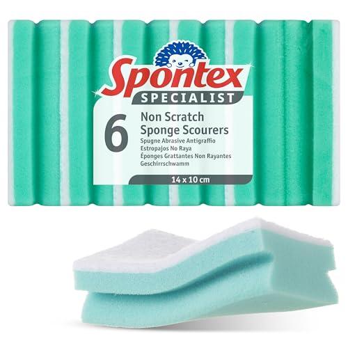 Spontex Specialist Spugna per lavare i piatti antigraffio XL, Riutilizzabile e versatile per la pulizia professionale,Confezione da 6
