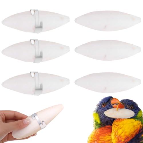 GXGM 6 Ossi di Seppia Naturali per Uccelli, Tartarughe, Pappagalli e altri Animali Domestici con 3 Supporti in Metallo