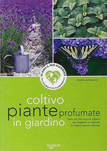 Coltivo piante profumate in giardino