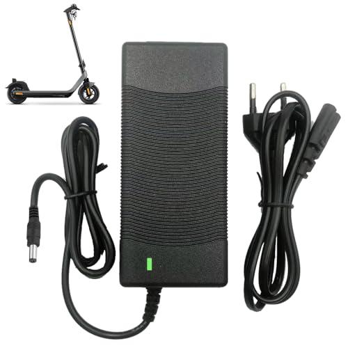 Nzkeuf Caricatore Monopattino Elettrico, 42V 2A AC Caricatore Hoverboard, Caricabatterie Bici Elettrica, Carica rapido per Batteria Monopattino Elettrico Bici Elettrica, DC 5,5 x 2,1 MM