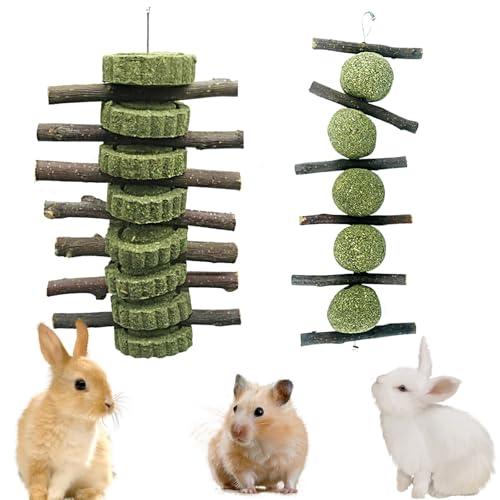 Rynvarl 2 giocattoli da masticare naturali (230g), fieno Timothy + legno di mela – accessori dentali sicuri per conigli, porcellini d'India, criceti e cincillà