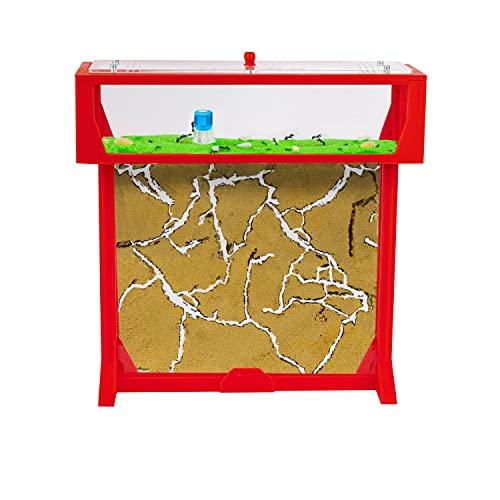 AntHouse - Fattoria di formiche di sabbia naturale | T 3D Set GRANDE 25x20x1,5 cm Rosso | Comprese le formiche