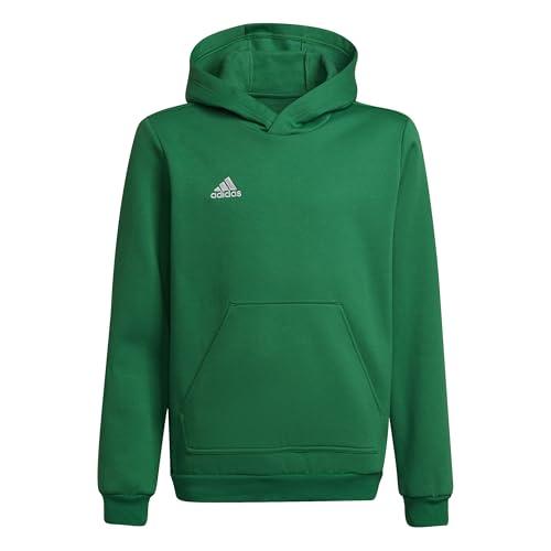 adidas Unisex - Bambini Entrada 22 Sweat Hoodie, team green/white, 13-14 Years