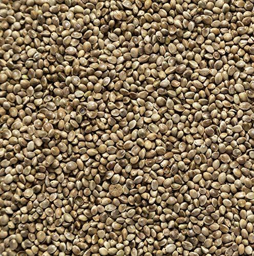 Il Contadino, Canapa ad Uso ZOOTECNICO, qualità Superiore (5 kg)