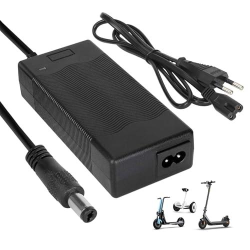 HPGAAVD 42V 2A Caricatore Monopattino Elettrico，36V Caricabatterie Universale Batterie Litio per Bici Elettrico，Caricatore rapido per Bici Elettrica, Scooter Elettrici DC2.1×5.5MM