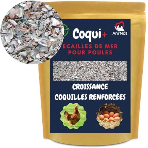 3,5 Kg di Conchiglie Macinate per galline ovaiole e piccioni. Più varietà di minerali rispetto ai gusci di ostriche. Minerali e calcio per gusci solidi.