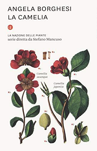 La camelia. La nazione delle piante