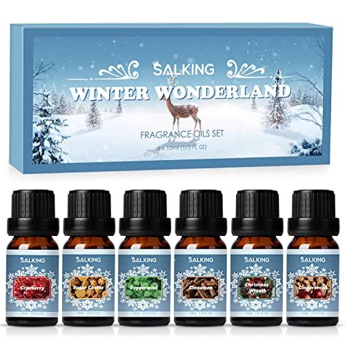 SALKING Set di Olio Essenziale Puri Inverno per Diffusori 6x10ml, per Aromaterapia - Cannella, ghirlanda di Natale, biscotto di zucchero, mirtillo rosso, menta piperita, pan di zenzero