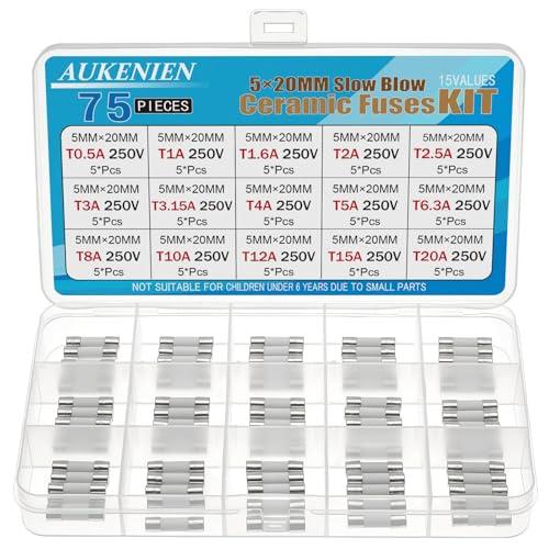 AUKENIEN 5X20MM Fusibili Ceramica Lenta Kit 15 Valori T 0,5A 1A 1,6A 2A 2,5A 3A 3,15A 4A 5A 6,3A 8A 10A 12A 15A 20A 250V 5X20 MM 250 Volt 0,2x0,78 pollici Fusibile in Ceramico Ritardo del Tubo
