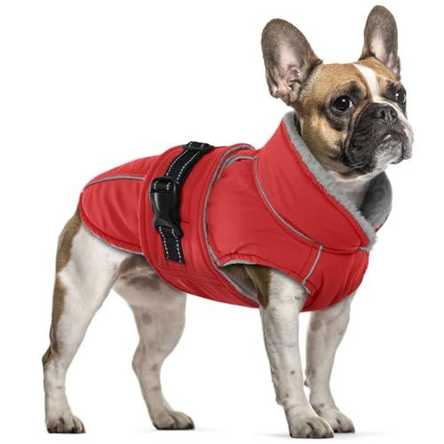 Cappotto Cane Taglia Piccola, Cappotto Cane Inverno Impermeabile Giubbotto Pile Cani Cappotto Bouledogue Francese(Rosso, S)