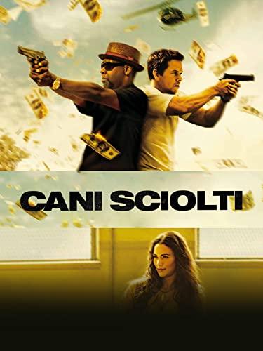 Cani sciolti