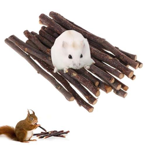 Mela Masticare Bastoncini,Ramo Di Mela Giocattoli da Masticare,Giocattoli Per Piccoli Animali Domestici,Naturale Giocattolo Masticare per Piccoli Animali,per Conigli,Cincillà,Cavia,Criceti (12pc)