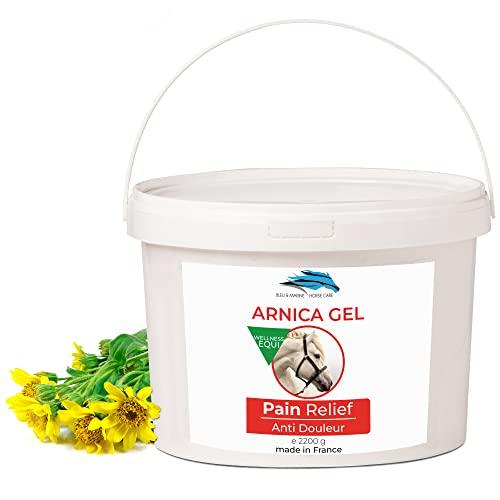 Arnica Gel FORTE & Concentrato 90% di Estratto di Arnica BIO da Agricoltura Biologica. Gel Massaggi Muscolari e Articolari. Idratante per la Pelle - 2200 g 2.2 kg