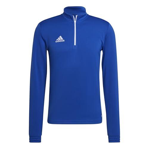 adidas Uomo Entrada 22 Training Top, Royal Blue, L