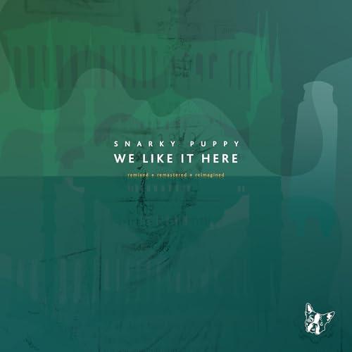 We Like It Here (Remixed + Remastered + Reimagined)