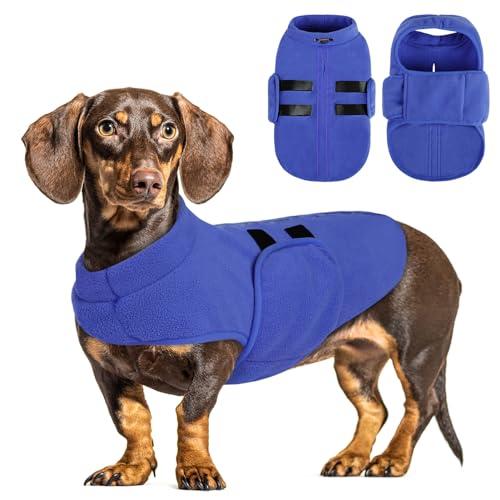 PUZAUKAL Maglione per Cani Piccola Maglioni Morbidi in Pile per Gilet per Cani con Imbracatura Maglione Cane Caldo per Cane di Taglia Media Grande Blu(XS)