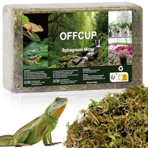 OFFCUP Sfagno per Piante 500g Muschio di Sfagno Terrario Rettile Compresso Sphagnum Moss di Alta qualità per Rettili Muschio Verde Vivo per Terrari Schiusi Sfagni Forestali Substrato