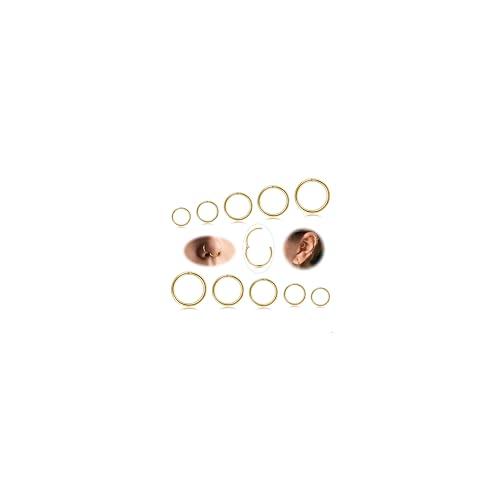 Diamday 10 pezzi 6-12mm 316L anelli del naso in acciaio Septum Piercing Cartilage Hoops Segment Ring Body Piercing Nose Hoop Lip Rings Helix Orecchini per le donne uomini (Oro) 16G