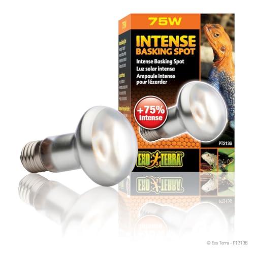 Exo Terra PT2136 Ex Intense Basking Spot R20/75W
