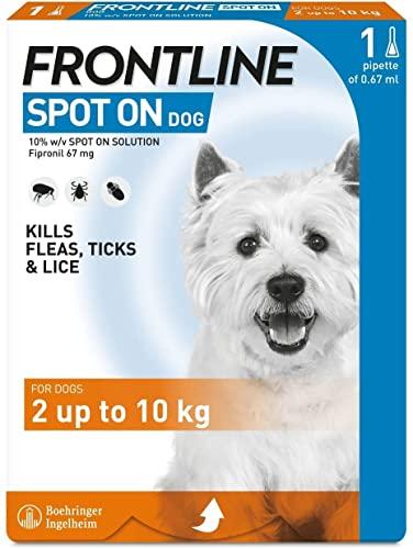 FRONTLINE Spot On trattamento contro pulci e zecche per cani di piccola taglia (2-10 kg), confezione da 1 pipetta