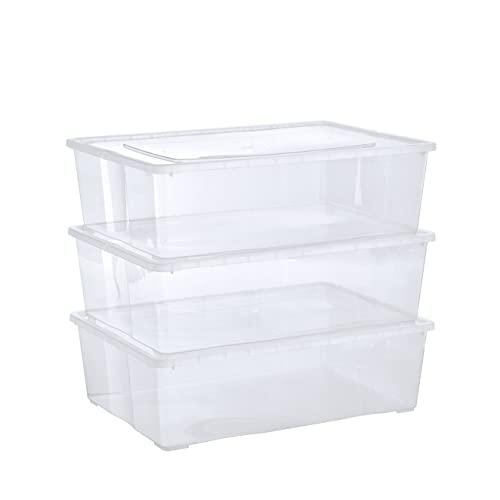 Grizzly Scatole 3 x 25 L grandi con coperchio trasparente - Scatole trasparenti impilabili con ventilazione