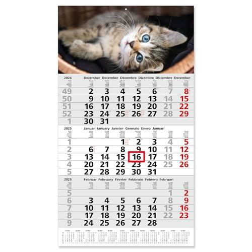 Calendario da 3 mesi 2025 I Calendario da parete 3 mesi 1 foglio I 30 x 53 cm I multilingue D/GB/F/I/E/NL Planner annuale con cursore e gancio per appenderlo