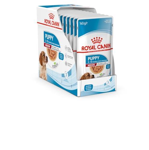 Royal Canin Medium Puppy | 10 x 140 g | Cibo umido per cani di taglia media | Fino a 12 mesi di età | Per il supporto cerebrale | Bocconi in salsa