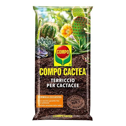 COMPO CACTEA Terriccio per Cactacee, Per una Crescita Omogenea delle Piante, Sacco 2,5 L