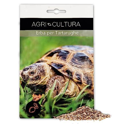 AGRI-CULTURA® | Semi Erba Per Tartarughe Di Terra In Miscuglio【15gr】| Mix Di Semi Da 6 erbe con Trifoglio, Tarassaco e Lattuga, Semi Per Nutrizione Ottimale Tartarughe Made in Italy.