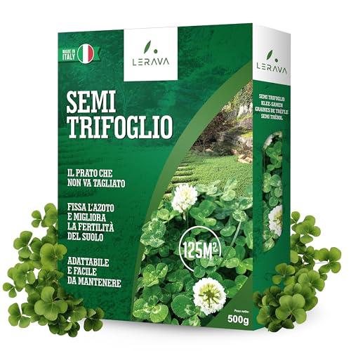 LERAVA® Trifoglio Nano semi prato [Non Richiede Taglio] - 125m² - Semi trifoglio nano per prato - Fissa l'azoto e Migliora la fertilità del suolo - Trifoglio semi con fioritura bianca - 500g