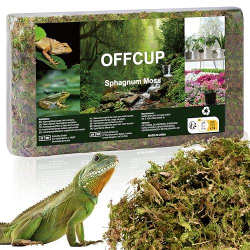 OFFCUP Sfagno per Piante 150g Muschio di Sfagno Terrario Rettile Compresso Sphagnum Moss di Alta qualità per Rettili Muschio Verde Vivo per Terrari Schiusi Sfagni Forestali Substrato