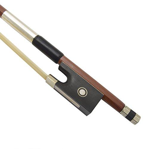 Theodore 4/4 Standard, colore Marrone (Brown)
