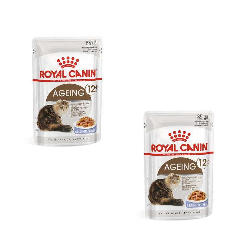 Royal Canin Ageing 12+ pezzi fini in gelatina | Confezione Doppia | 2 x 12 x 85 g | Alimento umido per gatti anziani | Alimento completo per gatti anziani di 12 anni e oltre