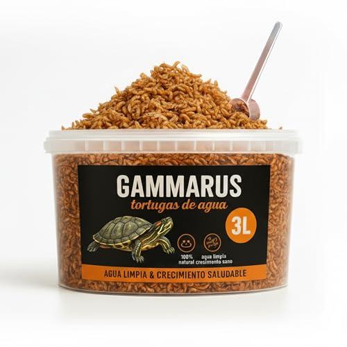 AF® - 300g Gamberetti per tartarughe d'acqua + Shrimps, 3L Mangime tartarughe acqua | Snack proteico, mangime tartarugh terra con gammarus (300 g (Confezione da 1), Gammarus Selezione)