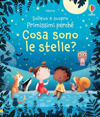 Cosa sono le stelle? Ediz. a colori