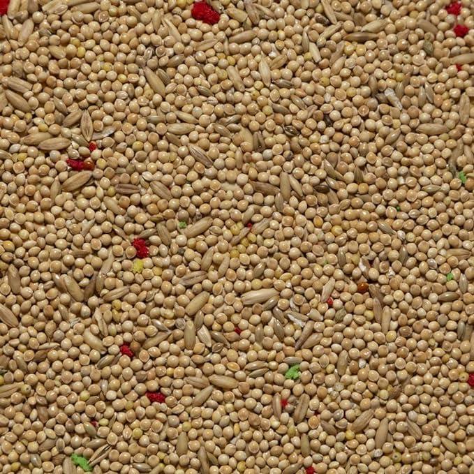 Il Contadino - Antichi Becchimi | MISCUGLIO per PAPPAGALLI e COCORITE | Formula Ricca di Semi Selezionati Adatta per Tutto L'Anno, No OGM, 100% Vegetale, Assenza di scarti. qualità Superiore (1 kg)