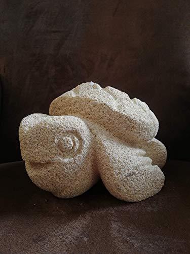 Tartaruga porta candela in Pietra Arenaria Fatta a Mano, Opera Scolpita con raspe e scalpelli, Dimensioni: 13x15x23 cm
