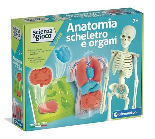 Clementoni Scienza e Gioco Lab - Anatomia Scheletro e Organi, Gioco Scientifico per Bambini 7+ Anni per Scoprire Il Corpo Umano, Made in Italy, Lingua Italiana, 19414