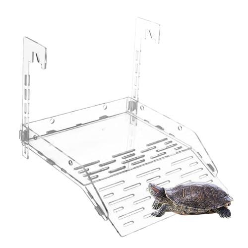 Rampa da arrampicata per tartarughe, 20 x 25 x 5 cm, in acrilico, piattaforma per piscina per rettili, accessorio interattivo trasparente, robusto, facile da pulire