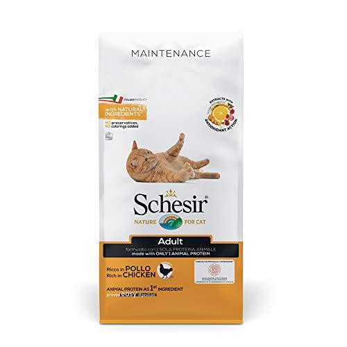 Schesir Adult, Alimento Secco Completo per Gatti Adulti, Ricco in Pollo, Vitamine Aggiunte, Senza Conservanti e Coloranti, 10 kg