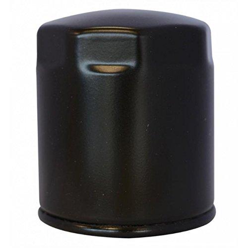 Ama Filtro Gasolio per Trattori Lombardini – Ricambio Adattabile Riferimento 2175.045, Peso 130 g, Made in Italy